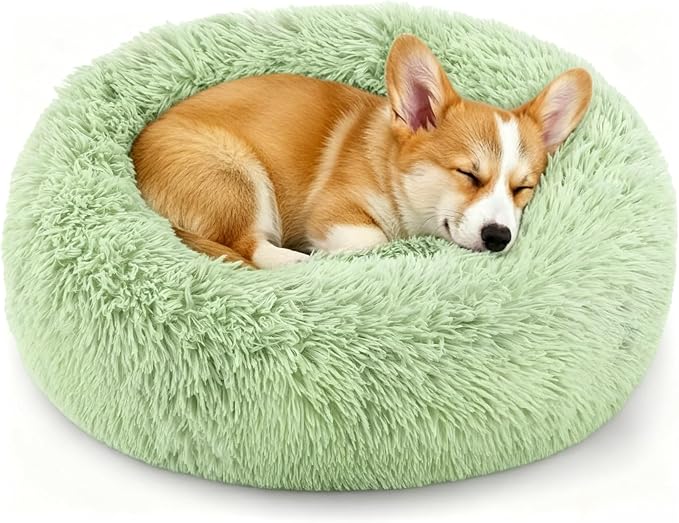 Calming Donut Dog and Cat Bed for Indoor Cats, Anti-Anxiety Round Fluffy Soft Washable Small Pet Bed for Puppy and Kitten, Warming Comfortable Luxury Anti-Slip Waterproof Mute Base 20in Green