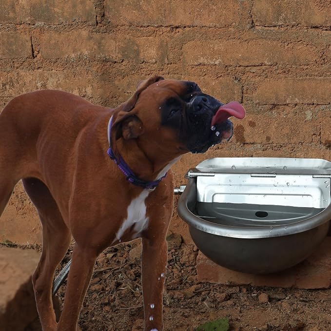 Automatic Dog Water Bowl Dispenser Large Size Pet Waterer Feeder Stainless-Steel Water Trough for Poultry and Small Livestock