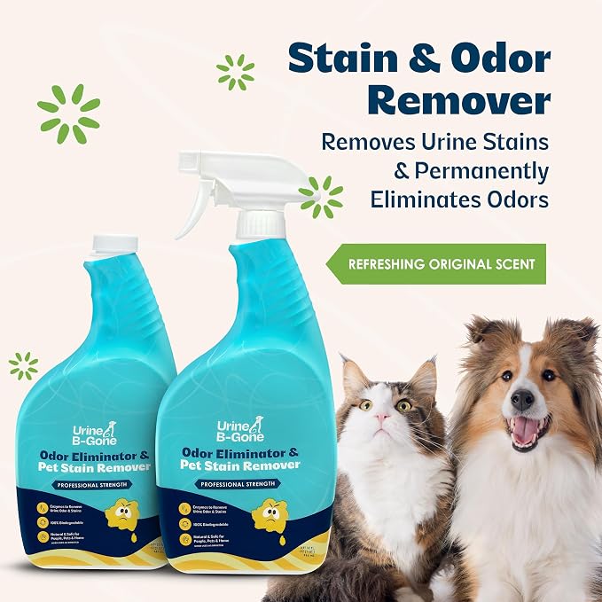 Urine B-Gone Enzyme Cleaner for Human & Pet Urine, Original, 32 oz, 2-Pack | Two 32 oz bottles of enzyme cleaner for human, cat and dog urine on laundry, carpets and more; original scent.