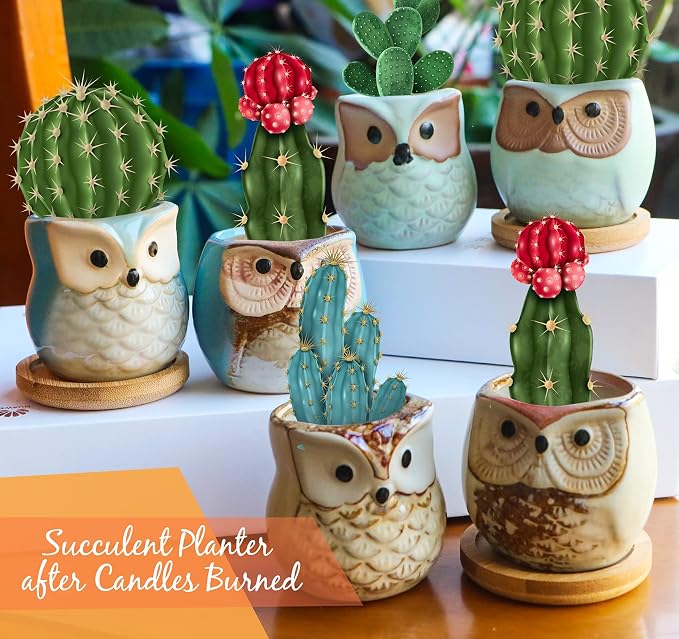Kinforse Citronella Candles Outdoor Gift Ideas for Women, 6x3.5oz Novelty Owl Soy Candles for Gift Sets Women, Aromatherapy Candles Bulk for Garden, Porch, Outdoor Patio Décor