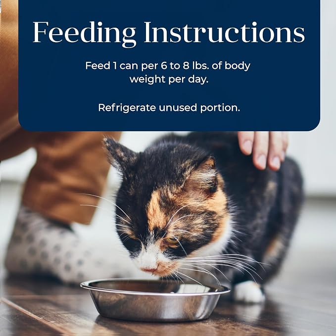 Blue Buffalo Basics Turkey Adult Grain-Free Wet Cat Food, 5.5 oz, 24 ct | Skin & Stomach Care, Real Turkey #1 Ingredient, Limited Ingredient Diet, Antioxidant-Rich LifeSource Bits, Skin & Coat Health