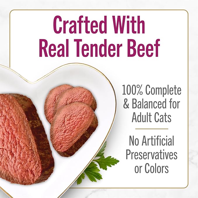Fancy Feast Purina Petites Tender Beef Entree with Carrots in Gravy Gourmet Wet Cat Food - 2.8 oz. Tubs,(Pack of 24)