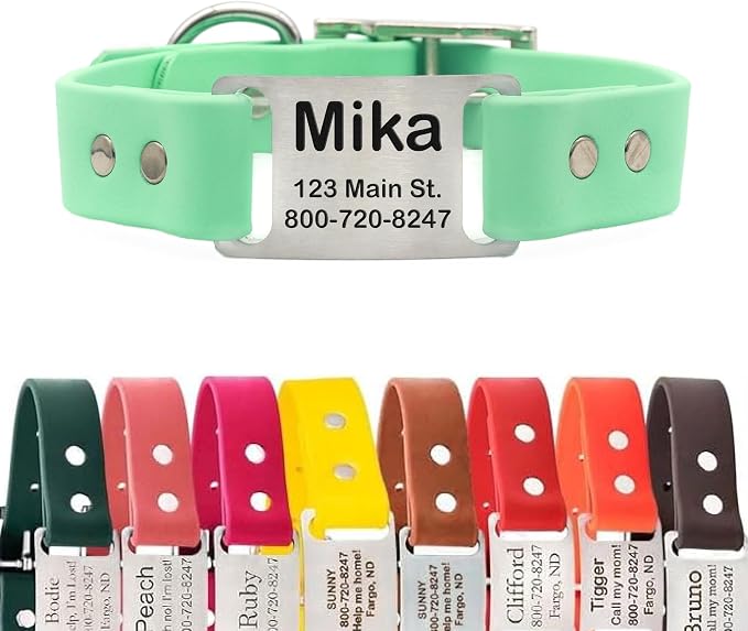 dogIDs Personalized Dog Collar – ScruffTag Custom Waterproof Biothane Dog Collar with Laser-Engraved Name, Durable & Odor-Resistant – USA Made | Mint, 3/4 in x 14 in (Fits Neck Sizes 12-16 in)