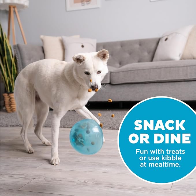 Outward Hound Snoop Interactive Treat Dispensing Dog Toy, Blue, 5" | Rolls & Bounces, Treat Stuffer, Puzzle Ball & Slow Feeder, Enrichment, Mint Scented, Easy Clean, No BPA, Medium to Large Dogs