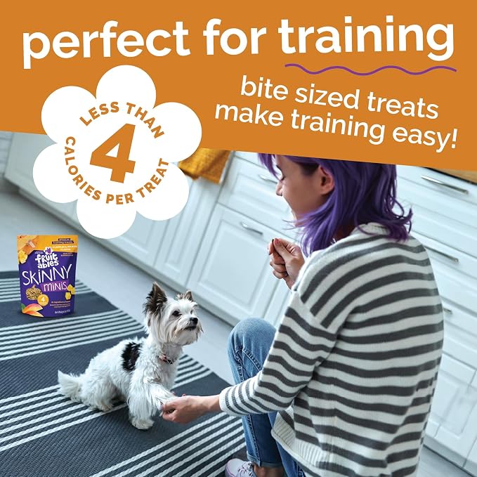 Fruitables Skinny Minis Soft & Chewy Dog Training Treats, Low Calorie Chicken & Pumpkin Recipe, Bite-Sized Rewards for Puppies & Adult Dogs, No Wheat Corn or Soy, Made in USA, 5 oz