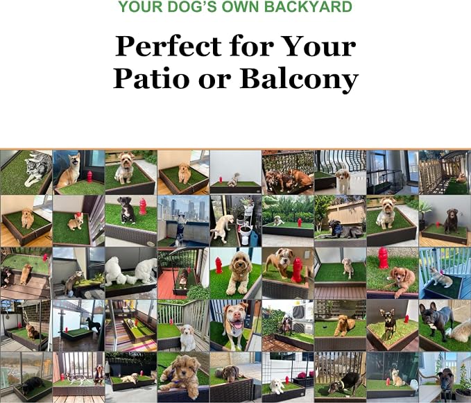 Porch Potty Small Indoor & Outdoor Dog Potty System with Artificial Grass, Quick-Draining Base & Drainage Hose – Reusable Dog Grass Pad for Apartments, Balconies, Patios & RVs