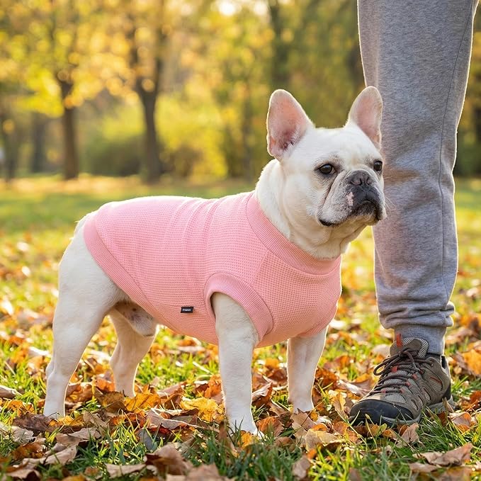1 Pack Dog Shirt for Small Supplies Functional Waffle Dog Clothes Warm Soft Sweatshirt Outfit for Dogs Cats Pet Apparel