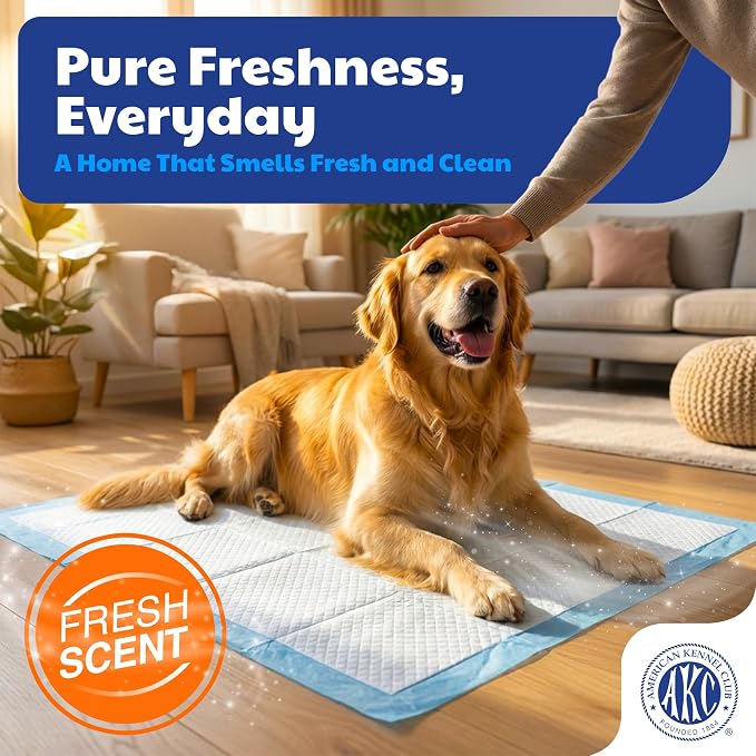 AKC Dog Training Pads, XL 28" x 30", Fresh Scent, 50 Count