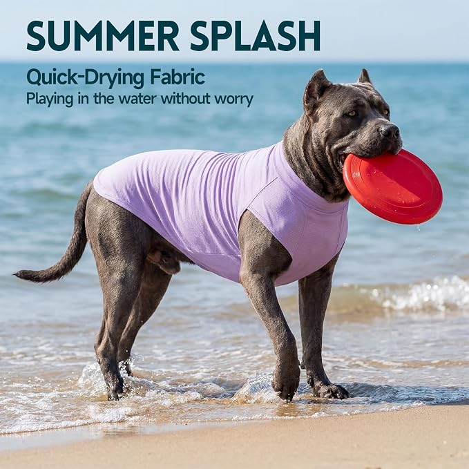 XPUDAC 2 Pack Sun Protection Dog Shirts, Quick Dry Breathable Dog T-Shirt Stretchy Lightweight Sleeveless Pet Summer Clothes for Small Dogs Sensitive Skin Soft Pet Tank Top Vest Girl,S