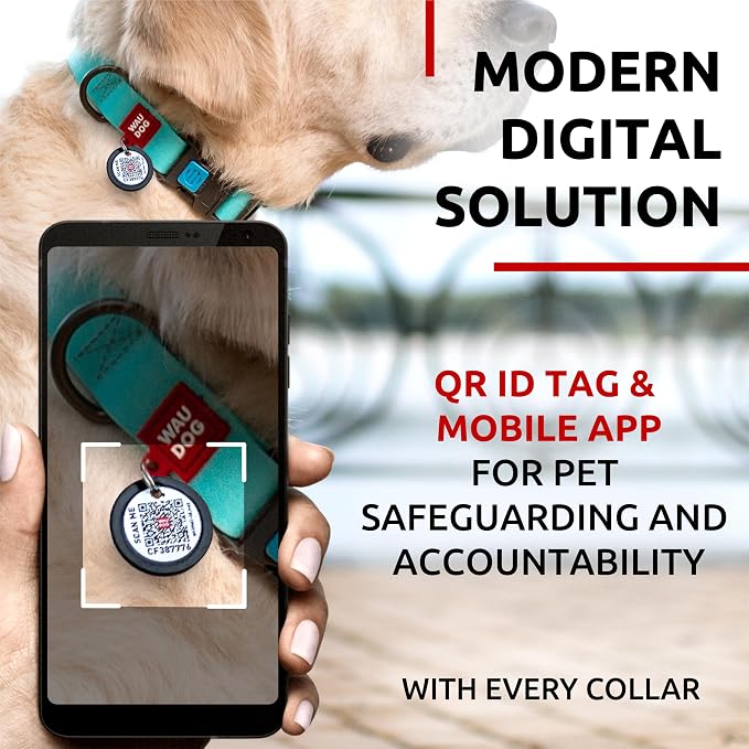 WAUDOG Waterproof Dog Collar Airtag Holder QR Tag Small Medium Large Dogs | Water and Dirt Resistant, Quick Dry QR Pet Tag Adjustable Durable Comfort for Male and Female Dogs Outdoor Walking Training