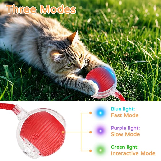 Goosheep 2025 New 3Pack Cat Ball Kitten Toys for Indoor Interactive Kitty Ball Toy Speedy Tail 360° Automatic Rolling(Red Grey Green)