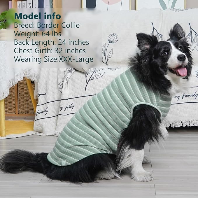 KYEESE 2Pack Waffle Dog Shirt for Large Dogs Striped Dog Sweater Tank Top | Cozy Warmth, Lightweight & Breathable, Gentle on Sensitive Skin, Stretchy & Free to Move, Comfortable Daily Wear