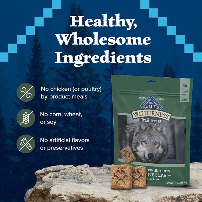 Blue Buffalo Wilderness Trail Treats Duck Crunchy Dog Biscuits, 24 oz | Real Duck #1 Ingredient, High Protein & Grain-Free Dog Snacks, Great for Training, No Artificial Preservatives