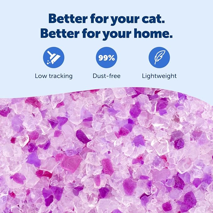 PetSafe ScoopFree Premium Crystal Litter, Lavender Scent, 8Lb Bag, 3 Pack | 5x Faster Odor Control than Clumping Clay Litter, 99% Dust-Free, Low Tracking Crystals, Compatible with Any Cat Litter Box