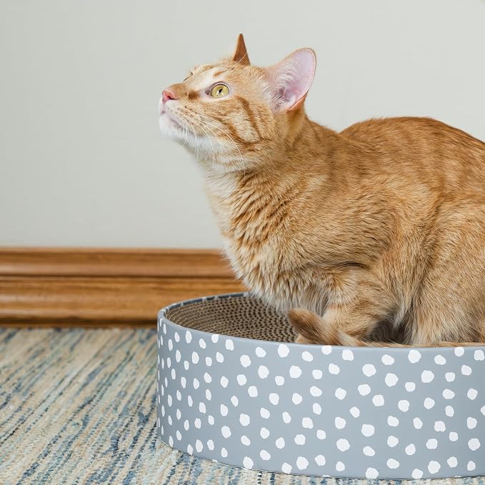 Kitty City Blue Dot Corrugate Scratcher Bed - Round Lounger Scratch Pad with Corrugated Cardboard, Horizontal Nail File Surface, Indoor Kitty Furniture, Cat Enrichment, Sleep, & Play, 15.5” x 15.5”