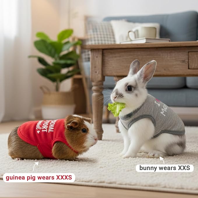 Guinea Pig Clothes (2-Pack), Soft Small Animal Vest T-Shirt | Breathable Small Pet Apparel & Costume for Rat, Guinea Pig, Rabbit, Chinchilla, Ferret, Kitten