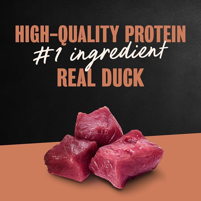 Cesar Classic Loaf in Sauce Wet Dog Food, Duck Recipe, 3.5 oz, 24 Count | Made in USA, Real duck #1 ingredient, no fillers/added sugar/artificial flavors, use as meal or topper, easy peel trays