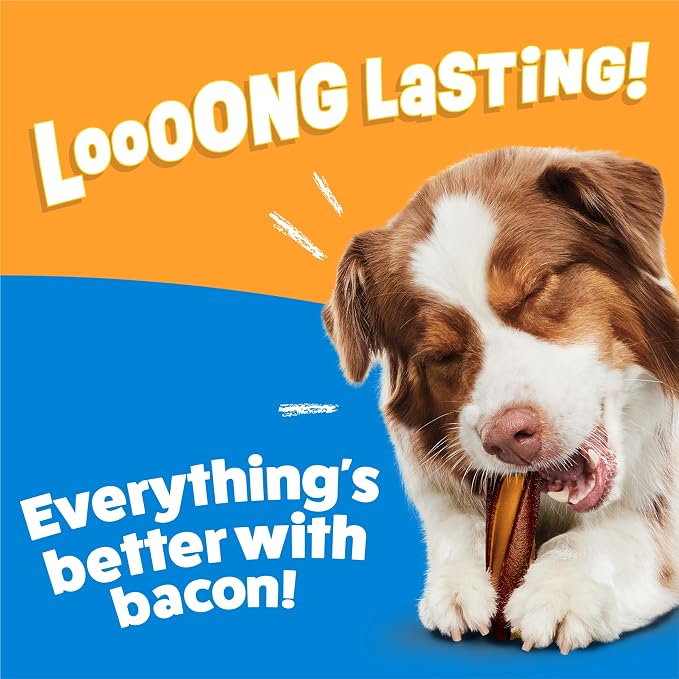 Purina Busy with Beggin Twisted Large Dog Treats, 10 ct Pouch | Cheddar & Hickory Smoke Flavor dog chew, long-lasting, rawhide free with real meat, for large dogs 35 lbs up
