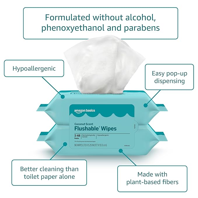 Amazon Basics Flushable Wipes, Coconut Scent, Hypoallergenic, Dermatologically Tested, 2 Packs of 48 (96 Count)