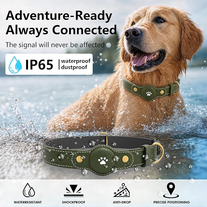 GPS Tracker for Dogs – Smart Dog Collar & Pet Tracker with Real-Time Location, No Monthly Fee, Unlimited Range (iOS & Android) – Fits Small to Large Dogs(Locator Included) (Deep Green)