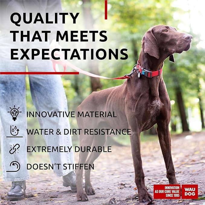 WAUDOG Waterproof Dog Collar Airtag Holder QR Tag Small Medium Large Dogs | Water and Dirt Resistant, Quick Dry QR Pet Tag Adjustable Durable Comfort for Male and Female Dogs Outdoor Walking Training