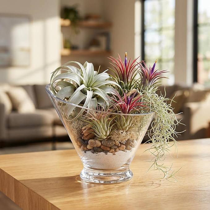 WGVI Slant Cut Calyx Glass Vase, Width 7.25", Height 6.25", Clear Terrarium, Candy Dish, Fruit Jar, Floral Container for Wedding Party Event, Home Office Decor, 8 Pieces