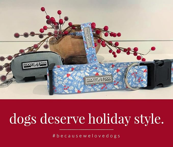 Lucky Love Dog Martingale Collar for Small Dogs Cute – Winter Blue, Small