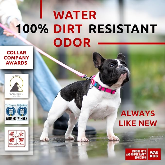 WAUDOG Waterproof Dog Collar - Adjustable Dog Collar for Large Dogs, Small and Medium Dogs - Heavy Duty Dog Collars with Durable Metal Clasp and QR Dog Tag - Boy & Girl Dog Collars