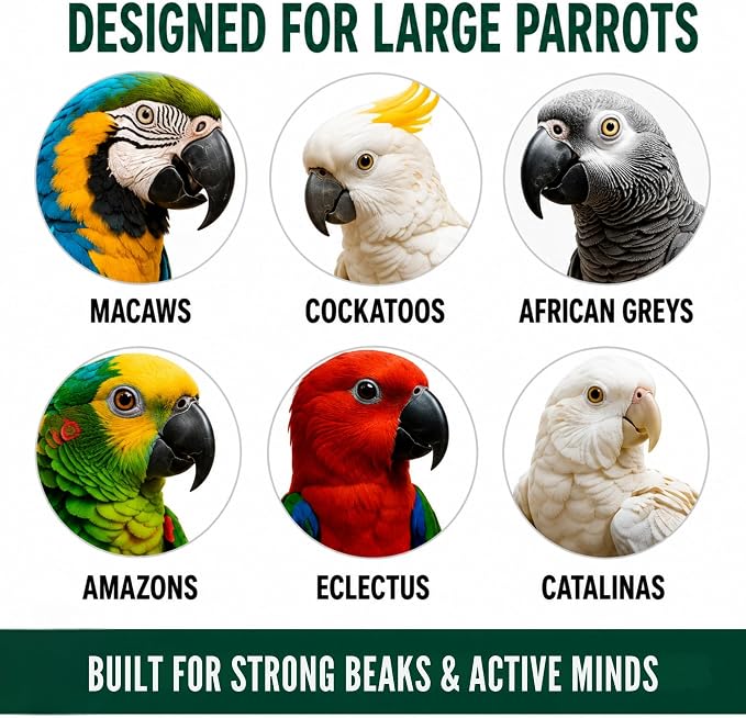 Bird Toys for Large Birds (Strip) - Foraging Toy with Non-Removable Wing Nuts | Durable Puzzle Enrichment Toy | Mind Game | Bird Cage Accessories for Cockatoos, Parrots, Macaws, Greys, Parakeets