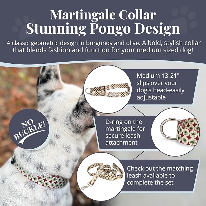 Lucky Love Dog Martingale Collar for Medium Dogs No Slip – Pongo, Medium