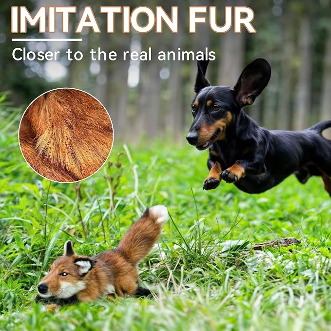 ALL FOR PAWS Squeaky Doy Toy, Fox Dog Toy for Small Medium Breed, Puppy Fetch Toy with Squeaker, Plush Chew Dog Toy, Classic S