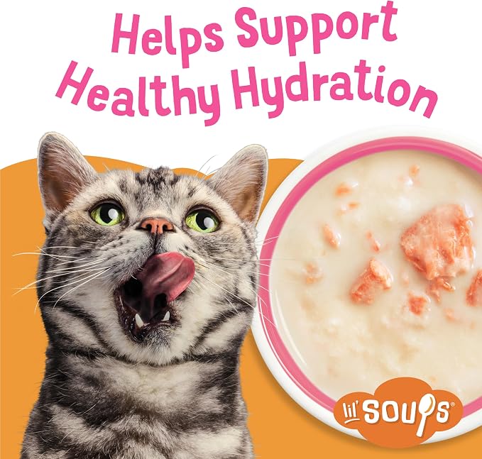 Friskies Purina Grain Free Lickable Cat Food Toppers Lil’ Soups with Sockeye Salmon in Chicken Broth - 1.2 oz. Cups,(Pack of 16)