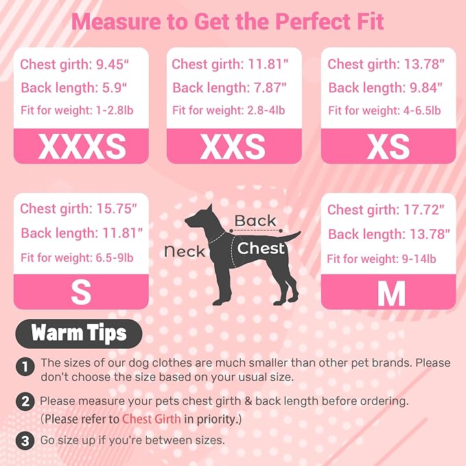 Dog Dress, Fashion Puppy Tutu Princess Dresses for Small Dogs Girl, Sweet Skirt with Dog Bowknot Clips, Spring Dog Cat Clothes Pet Apparel (Denim Princess Dress, Small)