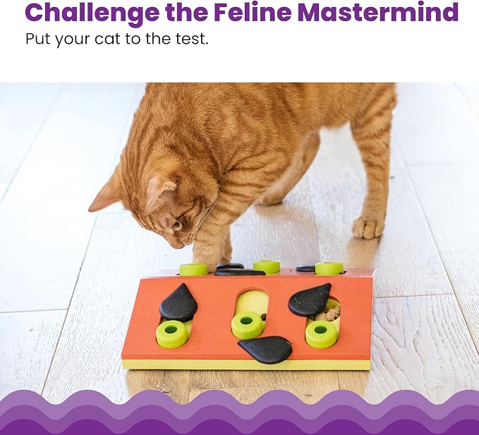 Catstages Nina Ottosson Melon Madness Puzzle & Play Cat Toy, 10.6" | Level 2 Intermediate, 12 Hidden Treat Cups, Problem Solving, Interactive Enrichment, Slow Feeder, Indoor Cats & Kittens