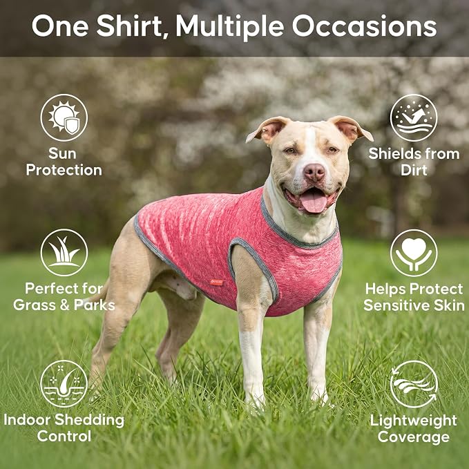 KYEESE 2Pack Dog Shirt for Small Dogs Sun Protection Tank Top for Summer | Reflective for Safety, Lightweight & Breathable, Shedding Control, Skin-Friendly for Sensitive Dogs, Easy On/Off, Quick Dry