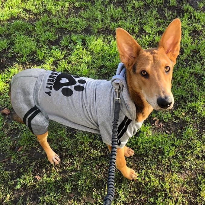Dog Security Clothes - 4 Legs Jumpsuit Sweatshirt Hoodie - Soft & Warm Winter Outfit Pullover Sweater for Small Medium Large Dogs Cats (Grey, XX-Small)
