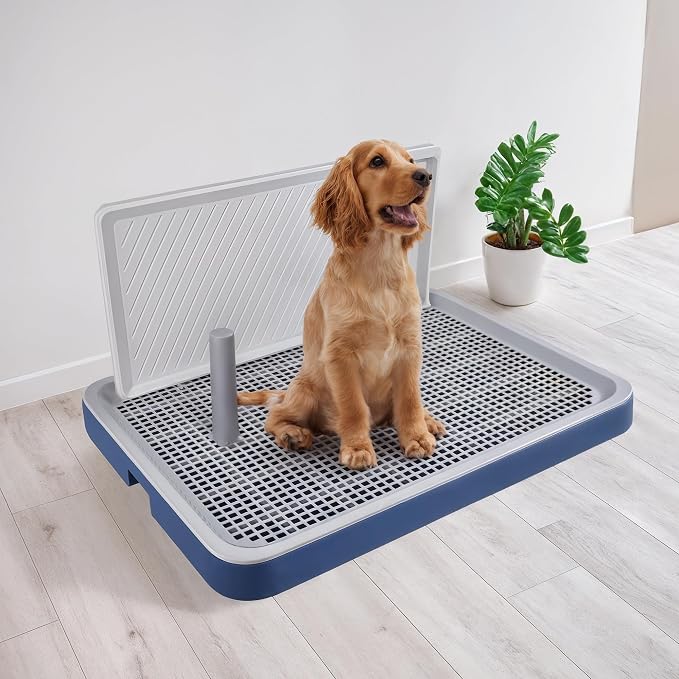 PAWISE Dog Training Pee Pad Holder Tray, Indoor Puppy Potty Pee Pad Floor Tray Dog Toilet, 24.8''X19.3', Large