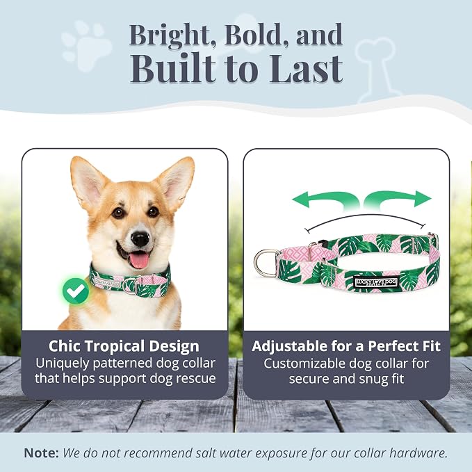 Lucky Love Dog Martingale Collar & Leash Set No Slip Cute – Laguna, Small
