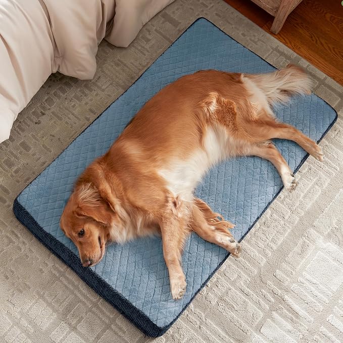JOEJOY Orthopedic Dog Bed for Large Dogs, Washable Dog Crate Bed Large Sized with Removable Cover, Egg Memory Foam Big Pet Beds, Blue, 35"x22"