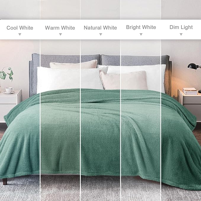 Exclusivo Mezcla Soft Plush Fleece Twin Size Blankets for Bed Living Room | Lightweight Fuzzy Fluffy Large Blanket for All Seasons, Cozy Velvet for Women Men, Machine Washable, 60"x80", Celadon