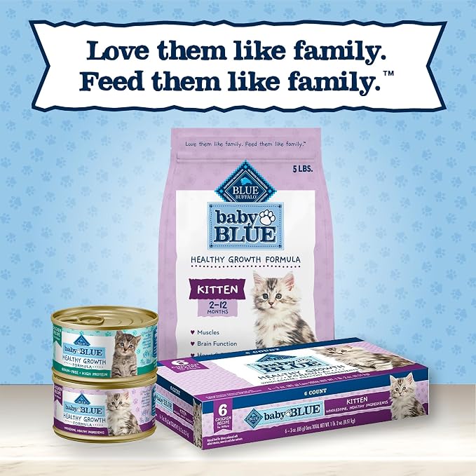 Blue Buffalo Baby Blue Chicken Kitten Natural Dry Cat Food, 5 lb | Real Chicken #1 Ingredient Plus Brown Rice, with DHA for Cognitive Development, Antioxidant-Rich LifeSource Bits