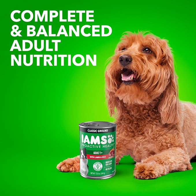 IAMS Proactive Health Ground Wet Dog Food, Lamb & Rice, 13 oz, 6-Pack | Real lamb, supports whole-body health, Omega-6 for skin & coat, no fillers or artificial flavors, 100% complete & balanced