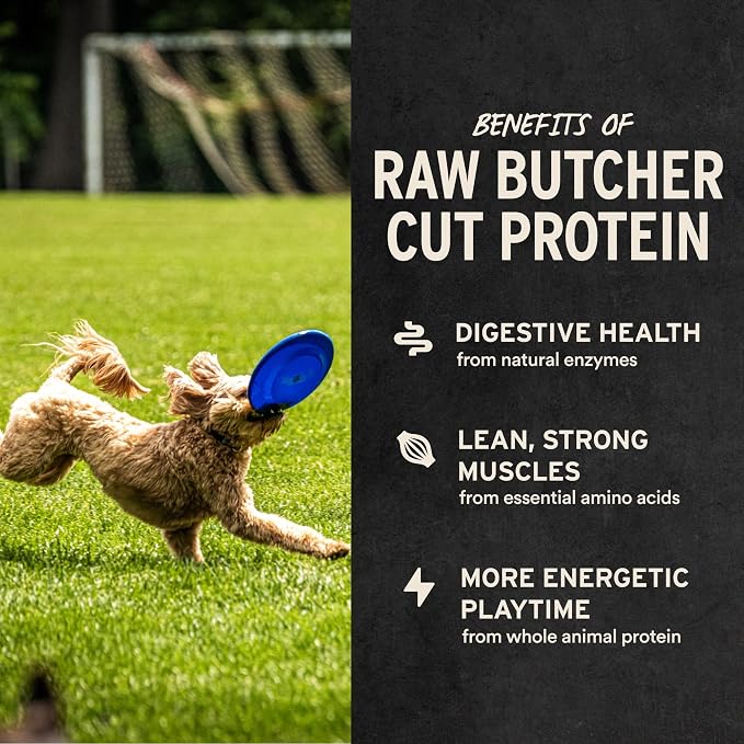 Vital Essentials Freeze Dried Dog Treats, Turkey Giblets, 2 oz Bag | Single Ingredient, Premium Quality, Grain Free Training Treats, USA Made with U.S. & Globally Sourced Ingredients