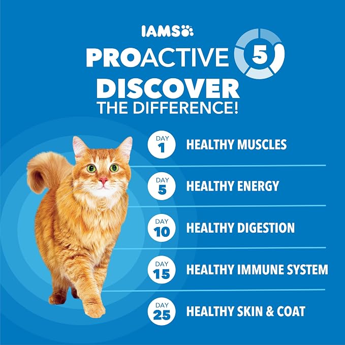 IAMS Proactive Health Healthy Weight Dry Cat Food, Chicken, 3.5 lb | Veterinarian-recommended, real chicken #1 ingredient, protein & fiber blend for weight management, supports healthy energy