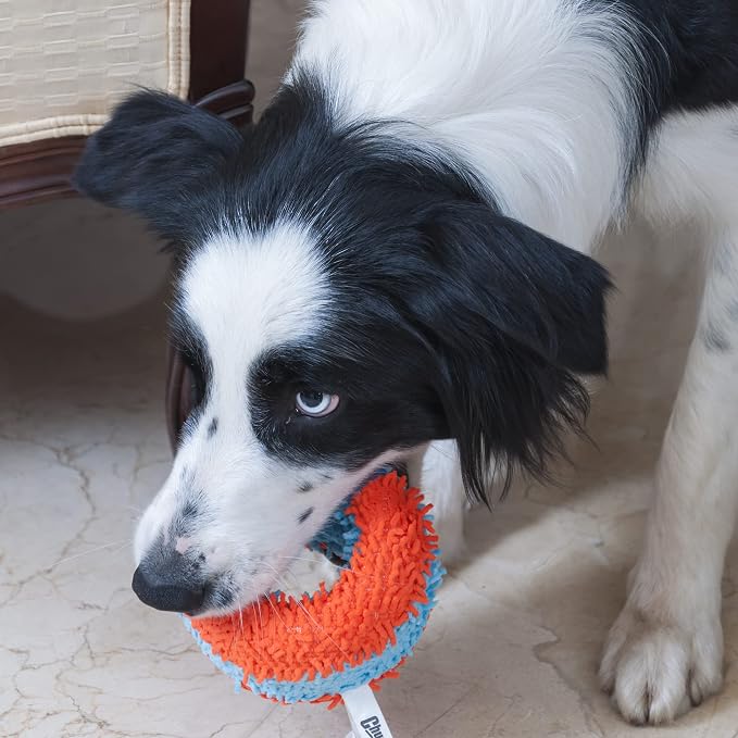 Chuckit! Indoor Fetch Roller Toy for Dogs - Interactive Dog Toys for Boredom, Orange and Blue 4.7 inches (Pack of 12)