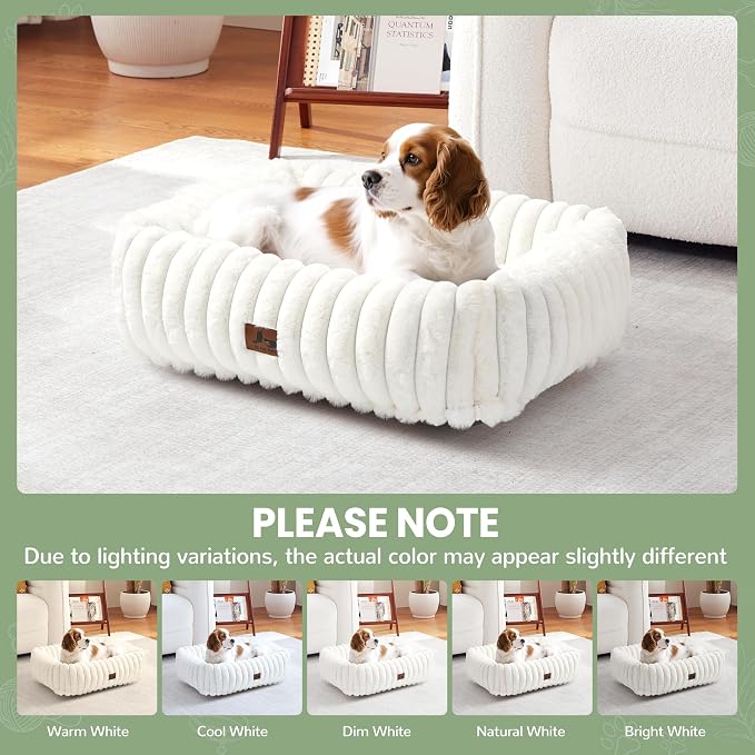 Washable Dog Bed for Small Medium Dogs, Rectangle Orthopedic Pet Bed with Removable Cover, Fluffy Memory Foam Dog Beds with Anti-Slip Bottom, Cream (25x21x7 inches)