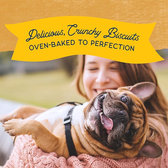 Natural Balance Rewards, Crunchy Biscuits, Duck, 28 oz | Grain-Free Dog Treats for Adult Dogs, Limited-Ingredient Recipe, Made with Real Ingredients, Great for Training