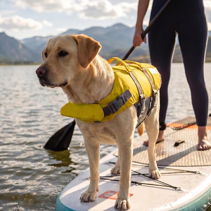 Outward Hound Granby Splash Dog Life Jacket, Life Vest, Yellow, Large | Max Buoyancy, Adjustable Fit, Head/Neck Support, Rescue Handle, Reflective, Swimming & Boating, Large Dogs (28–32" Girth)