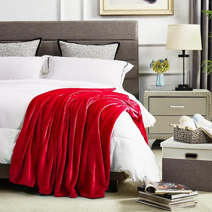 DREAMNINE Extra Soft Fuzzy Fleece Throw Blanket for Couch Sofa Chair 50" x 60", Decorative Solid Lightweight Fluffy Velvet Blankets,Cozy Accent Shaggy Plush Warm Flannel Blanket for Winter Bedroom,Red