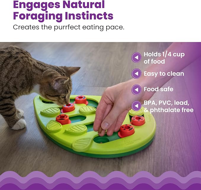Catstages Nina Ottosson Buggin’ Out Puzzle & Play Cat Toy Treat Puzzle, 14" | Level 2 Intermediate, 16 Hidden Treat Cups, Problem Solving, Interactive Enrichment, Slow Feeder, Indoor Cats & Kittens